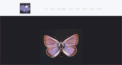 Desktop Screenshot of maryellenhannibal.com